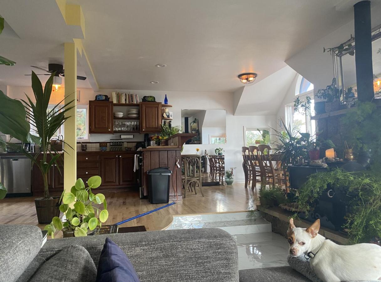 Boulder Best City And Nature With Lake And Trails Pets Ok Exterior photo